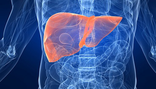 A recently-discovered genomic signature for predicting acute rejection in liver transplant recipients will be detailed tomorrow at the American Transplant Congress in Chicago. (Source: © Sebastian Kaulitzki/Fotolia)