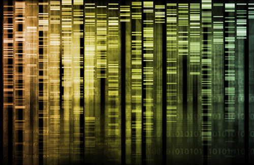 Bluebee and MediSapiens said they will provide analytical solutions for next generation sequencing data. (Source: © kentoh/Fotolia)