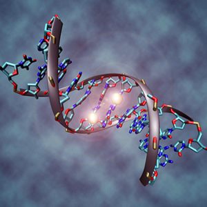 Cancer Prognosis and Survival Predictions Aided by DNA Methylation Patterns