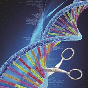 Ruling Out Ban, Organizations Urge Caution on CRISPR Germline Genome Editing