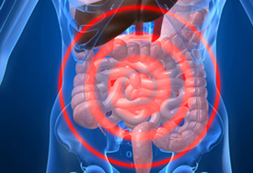 Researchers have used a multi-omics approach to construct the first-ever predictive model of inflammatory bowel disease (IBD)