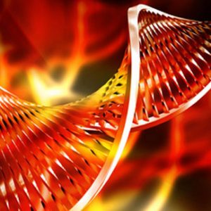 PerkinElmer to Support IDG’s Whole-Genome Sequencing Diagnostic Program