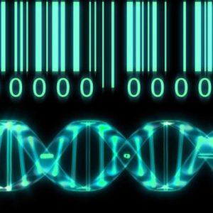 How Much Genetic Information Is Too Much Information?