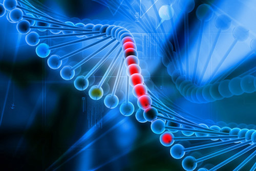 The Merkin Institute for Transformative Technologies will fund early-stage ideas for novel technological approaches to treating disease. [Source: © 4designersart/Fotolia]