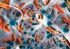 AI Reveals New Antibiotic