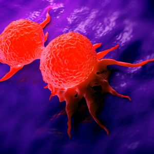 Races Differ in Breast Cancer Chemotherapy Response