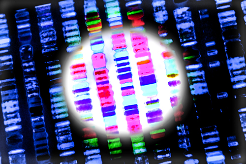 Researchers say a new an open-source genomic tool they developed is designed to help identify genetic variants that could cause cancer when normal tissue is not available or feasible to sequence--and help expand the reach of precision medicine to more diverse groups of people. [Source: iStock/© Gio_tto]