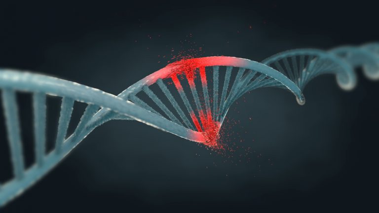 New In Vitro Biomarker Improves Genotoxicity Prediction
