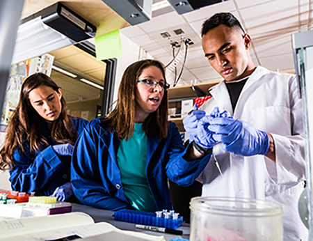 Researchers in the Kauwe Lab at Brigham Young University