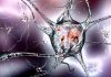 Michael J. Fox Foundation Collaborates with Centogene to Confirm Parkinson's Risk Factors