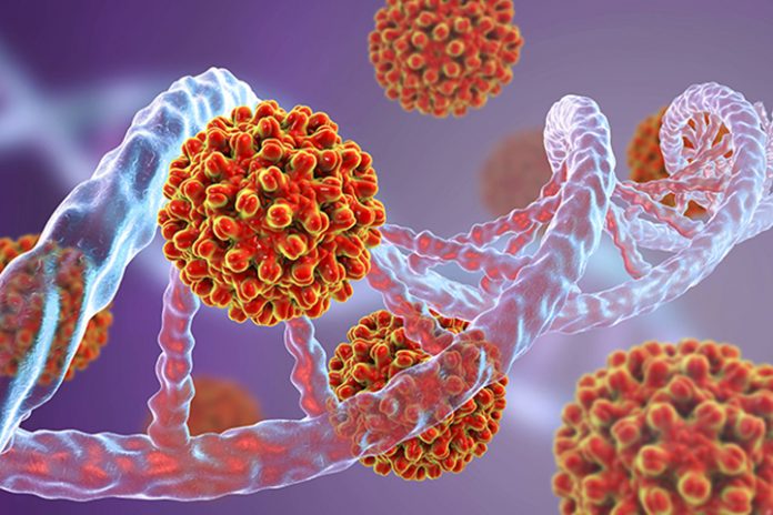 Hepatitis B viruses and DNA, illustration