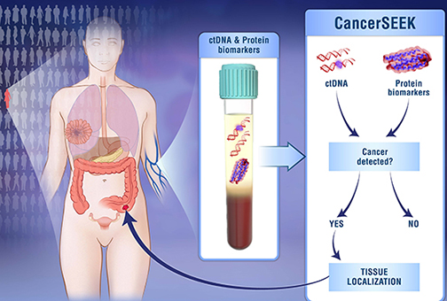 CancerSEEK takes a multi-analyte approach to cancer detection.
