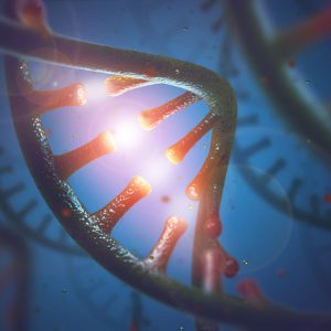 Long ncRNA Must Linger to Enhance Gene Expression