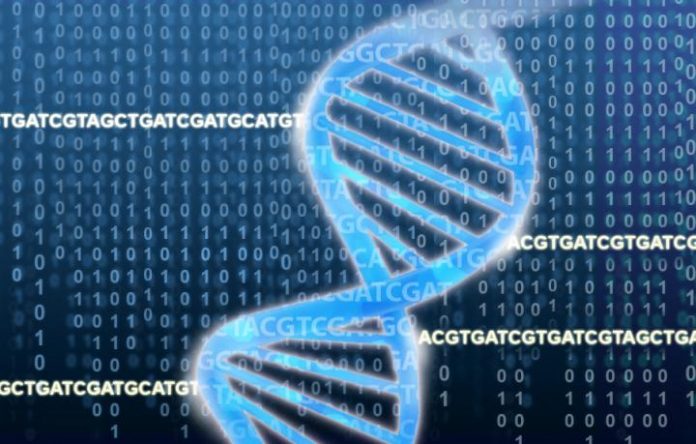 Australia’s national government will spend A$500 million (about $377 million) over the next 10 years on the Australian Genomics Health Futures Mission