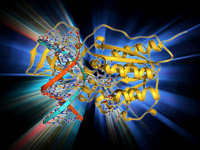 Methyltransferase and DNA