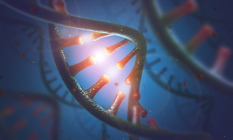 Small-Molecule RNA-Targeting Technology Kills Cancer Cells