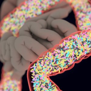 Targeting Microbiome Could Be Treatment Strategy for Age-Related Diseases