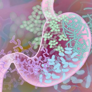 Common Medications Can Accumulate in Gut Microbes
