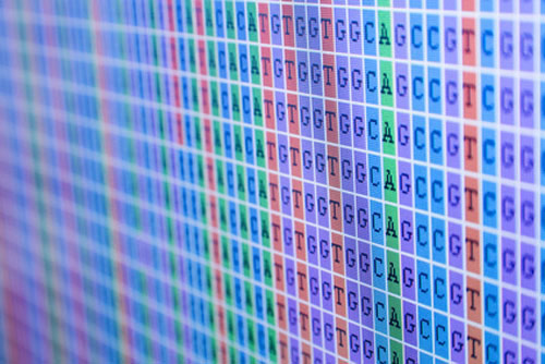Returning Genomic Findings to Biobank Participants Informs About Unrecognized Disease Risks