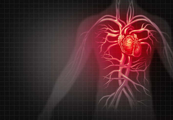 Cardiovascular health, heart disease