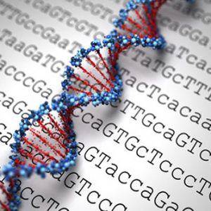 Whole-Exome Sequencing Technology Identifies Drug Resistance Gene in Testicular Cancer