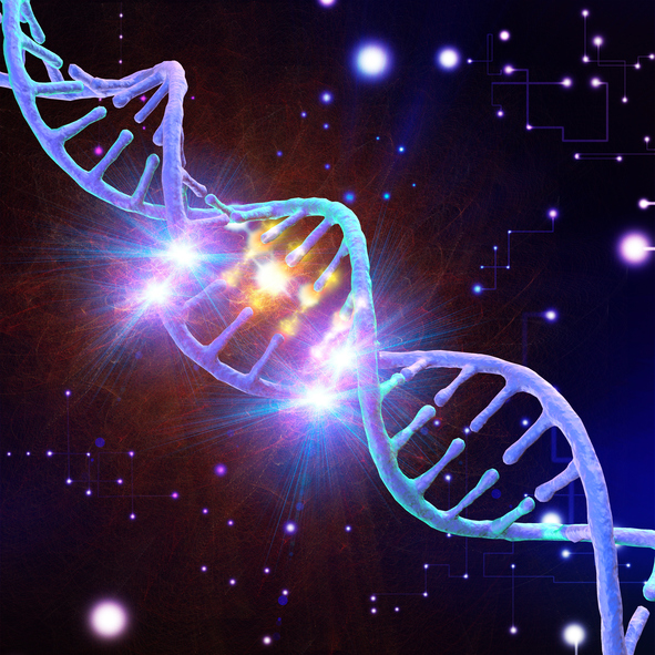 RUNX Proteins Integral to Efficient DNA Repair