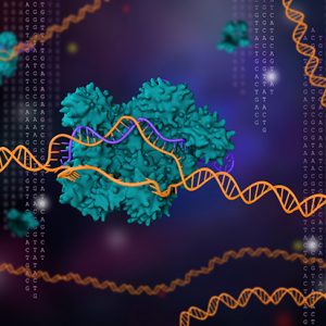 Novel CRISPRi-Based Screen Could Improve Drug-Resistant TB Treatment