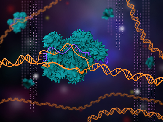 CRISPR-Cas9 Editing Can Favor Cancer-Linked KRAS Genes