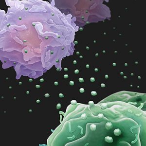 Exosomes Containing PD-L1 Could Predict Immunotherapy Responses