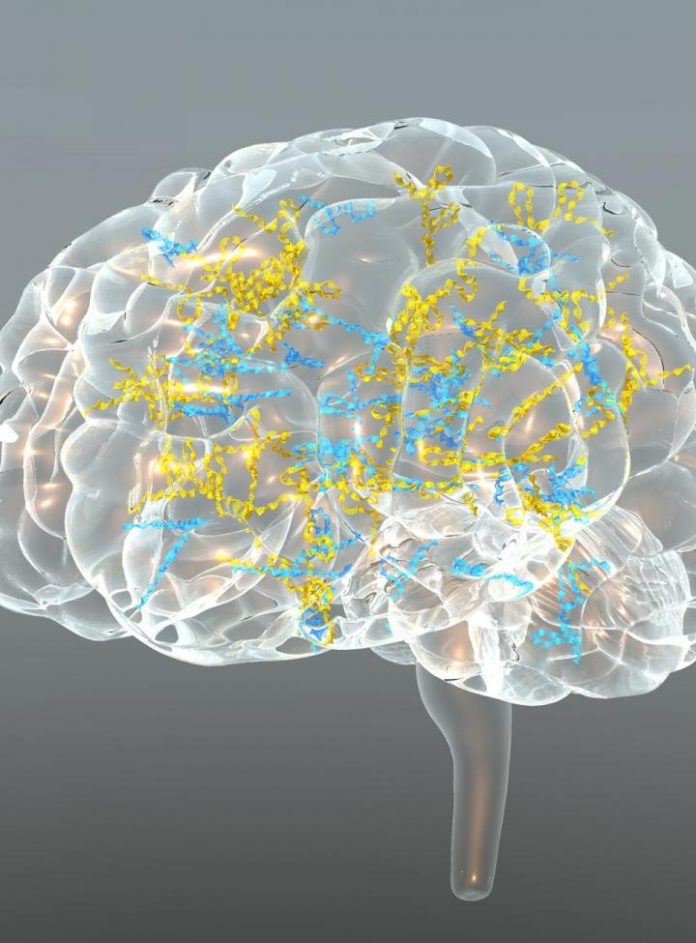 Illustration depicting transcribed noncoding elements (TNE or enhancer RNAs) in the brain. [Source: Clemens Scherzer