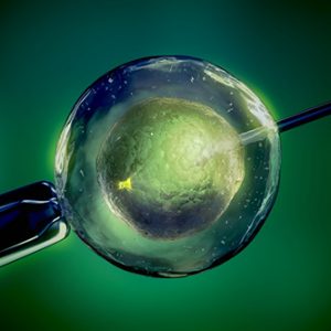 ESHG Against Use of Polygenic Risk Scores for IVF Embryo Selection