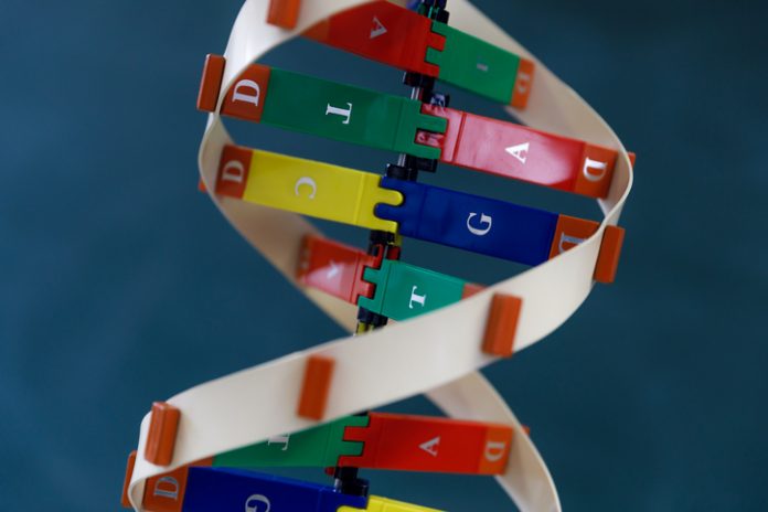 DNA Modell - Doppelhelix
