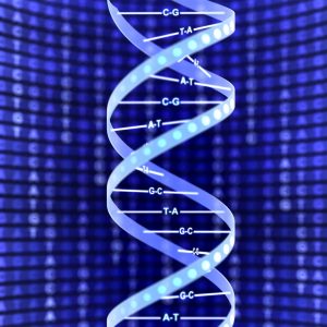 GenomOncology Platform to Integrate Genomenon Literature Engine Results