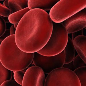 Mutations in Gene Linked to Acute Myeloid Leukemia Can Drive Other Blood Disorders
