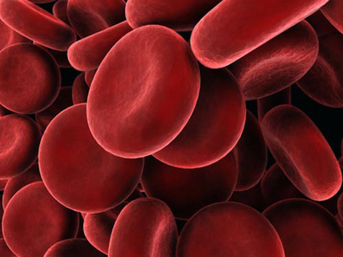 Mutations in Gene Linked to Acute Myeloid Leukemia Can Drive Other Blood Disorders