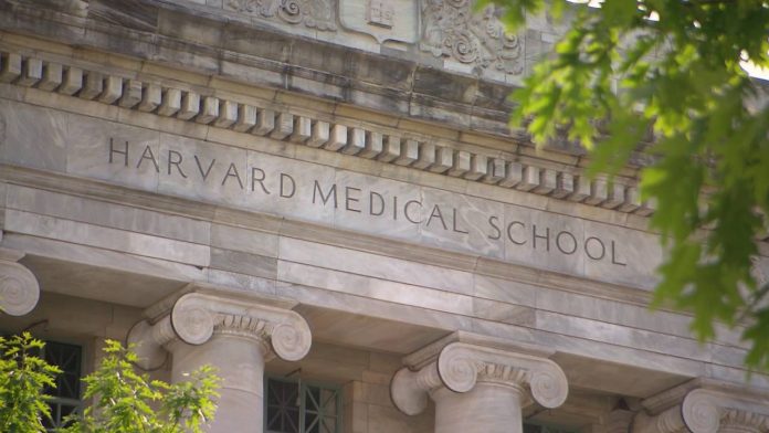 Harvard Medical School (HMS) plans to use a $200 million gift from the Blavatnik Family Foundation--the largest-ever gift in the school's 236-year history--to accelerate development of new diagnostics and drugs