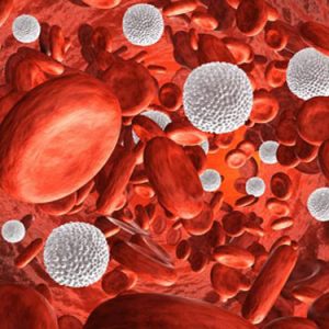 Medigen to Use CellMax Life CTC Blood Test in Trials of Cancer Cell Therapies