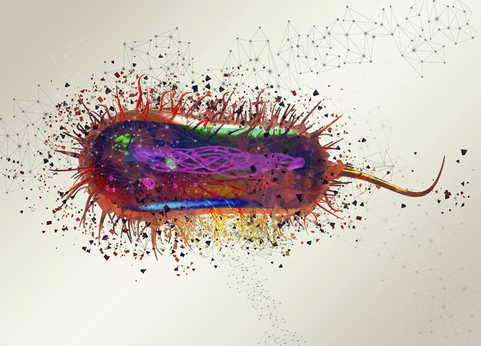 E coli virus, illustration