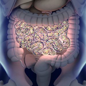Commensal Gut Bacteria’s Role in Immune Response to Cancer-Causing Retrovirus Detailed