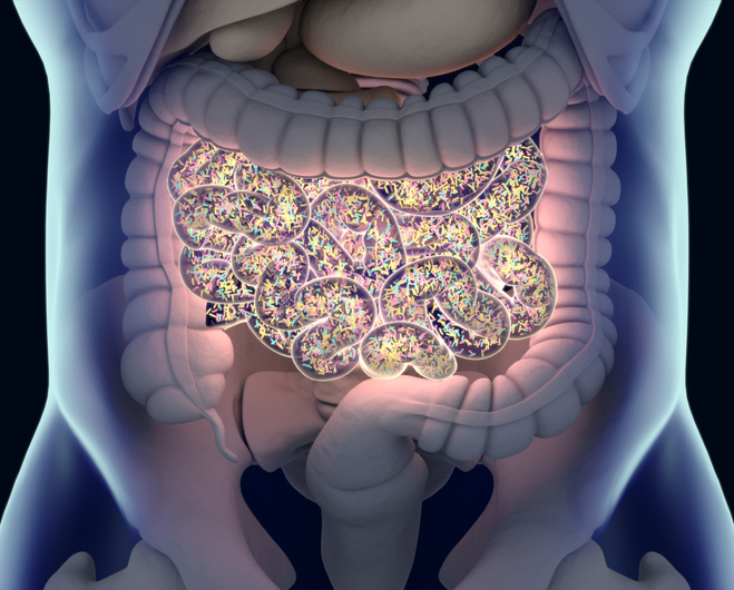 Clues to Gastrointestinal Disease Treatments Found in Gut Microbiome