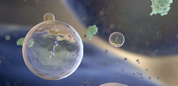 Artistic interpretation of an exosome carrying DNA/RNA from a cancer cell. [National Institutes of Health]