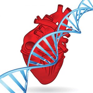 At the Heart of the Matter: The Genomics Underlying Cardiovascular Disease