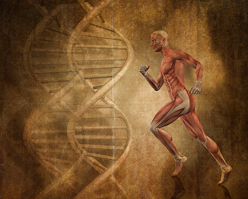 Arivale is taking a personalized genomic approach toward fitness