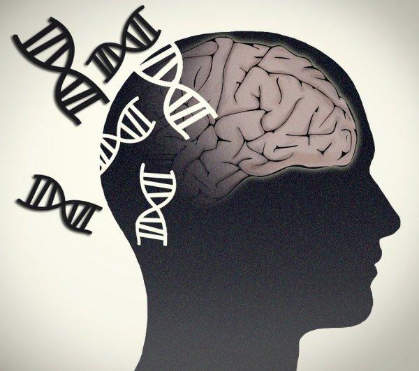 Results from a new study show the validity of using CSF as a medium for finding ctDNA to detect brain tumors. [Jonathan Bailey