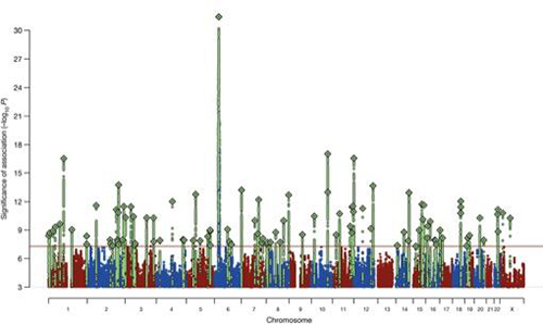 The site in Chromosome 6 harboring the gene C4 towers far above other risk-associated areas on schizophrenia's genomic 