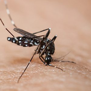 Chembio Receives $550K Grant for Zika Diagnostic Development