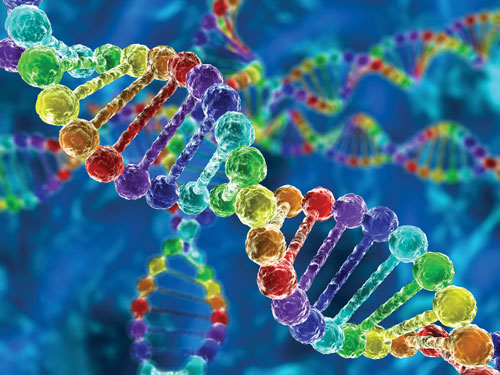 An increasing number of clinicians are adding the cancer transcriptome to their precision medicine program. They have found that the transcriptome is important in identifying clinically impactful results. [iStock / DeoSum]