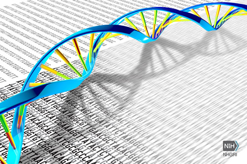 New data describes the economic impact of genomic sequencing procedures. [NIH]