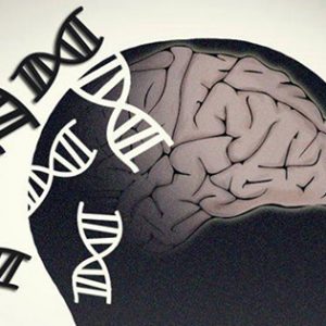 CRISPR Aids Identification of Sporadic Parkinson’s Mutation in GWAS