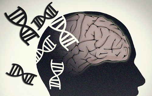 Brain with DNA fragments next to it indicating genetic impact on Parkinson's disease
